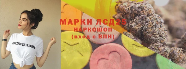 эйфоретик Аркадак