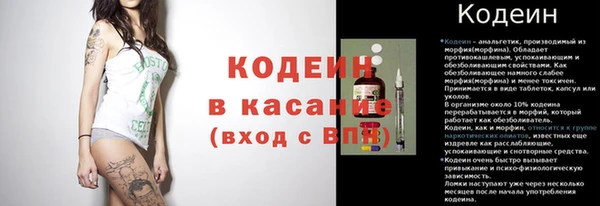 эйфоретик Арсеньев