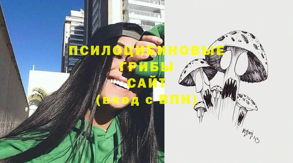 ECSTASY Армянск