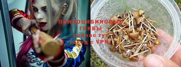 эйфоретик Арсеньев