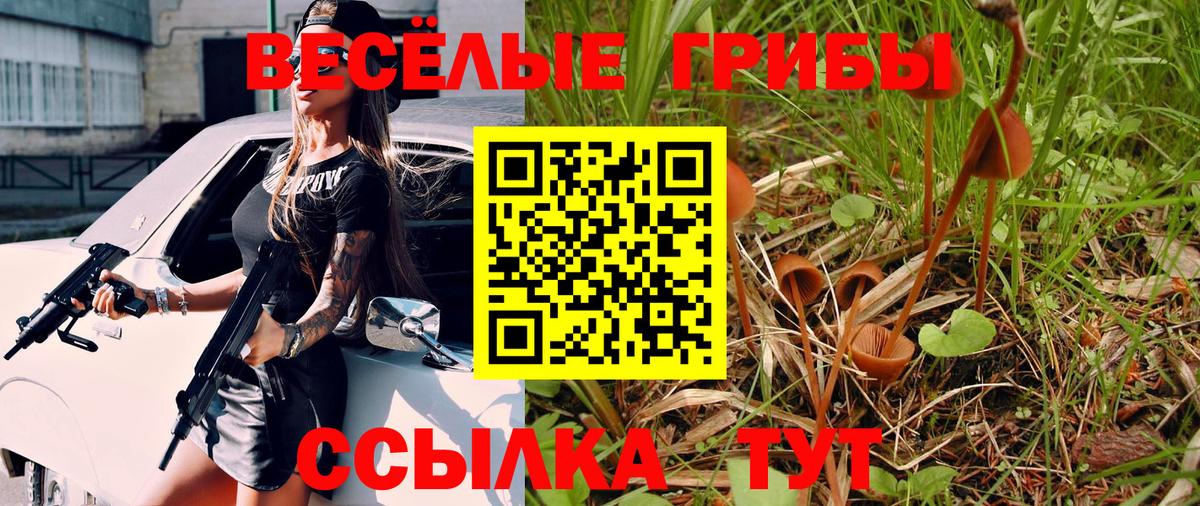 Пятигорск  Галлюциногенные грибы мицелий  купить наркотик  Вход с VPN 
